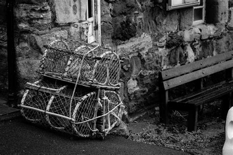 Pros and Cons of Commercial Trawling.